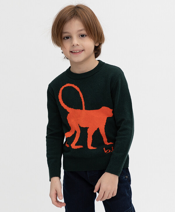 600 р.  999 р.  Зеленый джемпер Button Blue