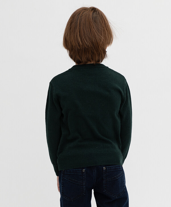 600 р.  999 р.  Зеленый джемпер Button Blue