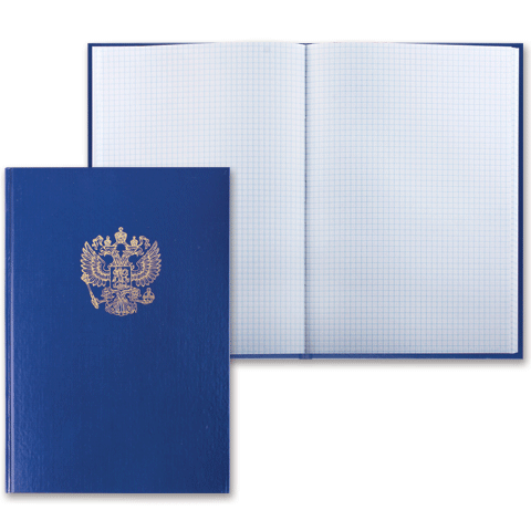 Книга учета А4 (200*290 мм), 96 листов, , клетка, обложка бумвинил с гербом РФ, блок офсет, BRAUBERG 130141