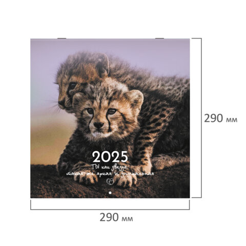 Календарь настенный перекидной на 2025 г., BRAUBERG, 12 листов, 29х29 см, 