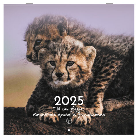 Календарь настенный перекидной на 2025 г., BRAUBERG, 12 листов, 29х29 см, 