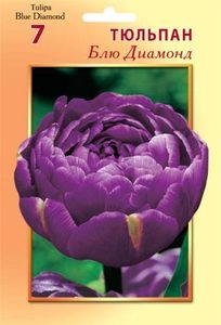 Тюльпан Блю Диамонд (3шт) махровый ранний (пурпурно-фиолетовый) ВХ