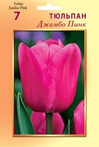 Тюльпан Джамбо Пинк (3шт) триумф (нежно-розовый) ВХ