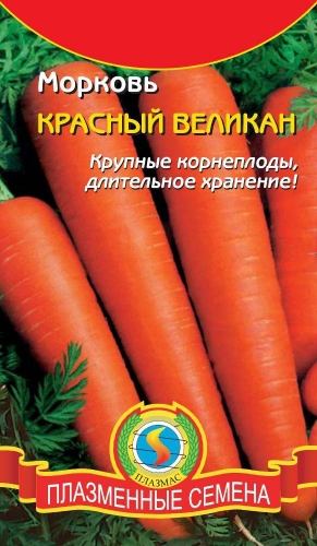 БП Морковь КРАСНЫЙ ВЕЛИКАН