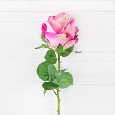 Роза 1 (розов.),80 см