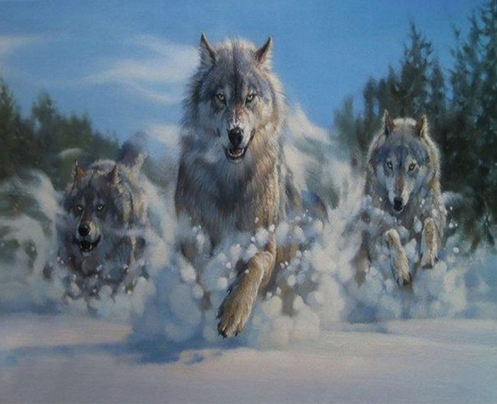 Эпоха волка. Эпоха волка в 2012 году. Волки бегут по снегу. Три волка бегут в дымке.