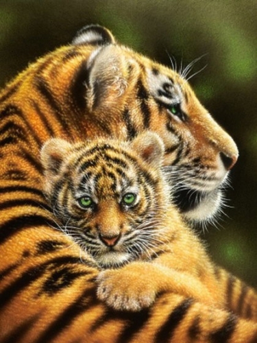Ah51521 Тигрица с тигренком