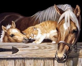 Ah07211 Лошадь, жеребенок и рыжий кот