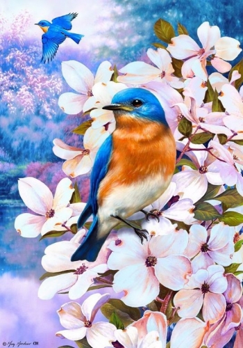 Ah5156 Птичка на цветущей ветке