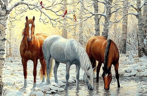Ah5181 Лошади зимой