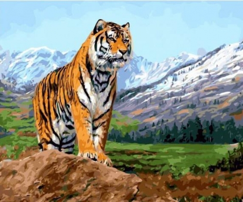 Ah51681 Тигр на фоне гор