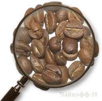Кофе в зернах Эквадор Чангамина