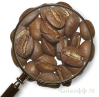 Кофе Мексика Альтура в зернах