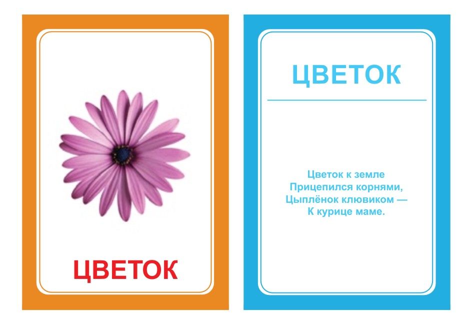 Логопедические карточки логопедические картинки