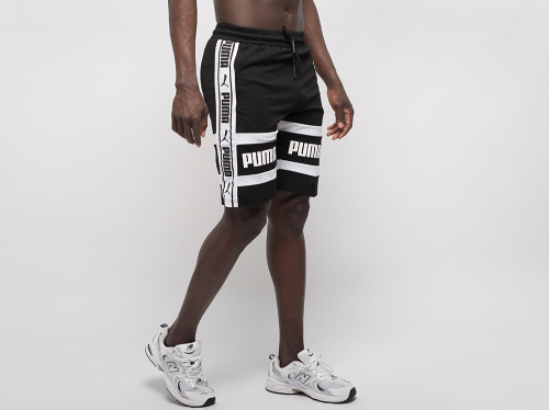 Шорты Puma