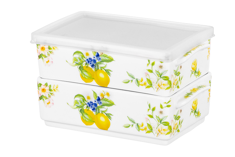 Набор 2 блюд д/холодца 700 мл 19*12*11,5 см