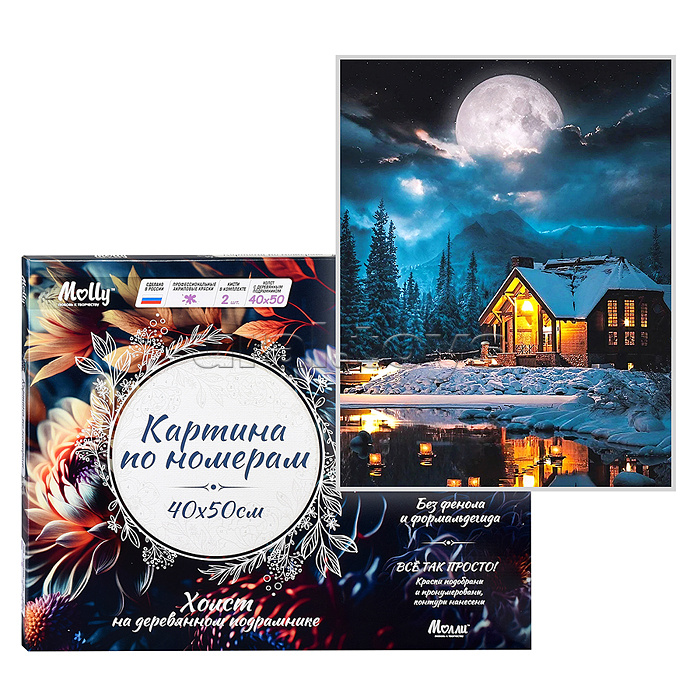 Картина по номерам 40х50