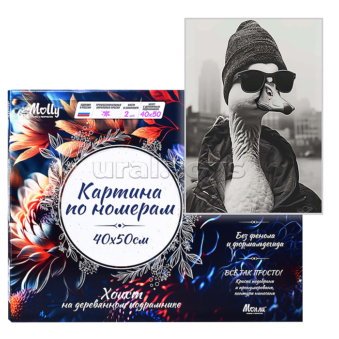 Картина по номерам 40х50