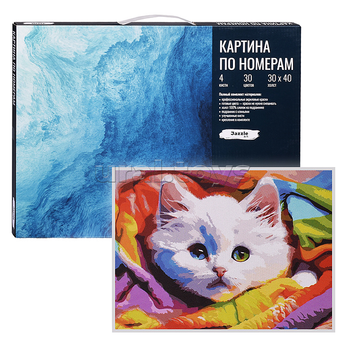 Картина по номерам. Холст на подрамнике