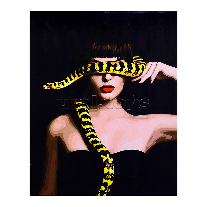 Холст с красками 40х50 по номерам