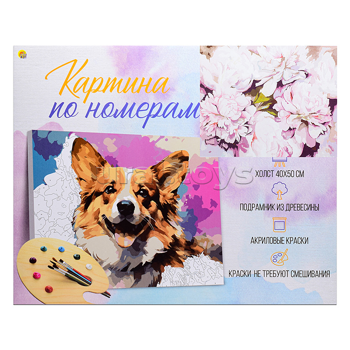 Холст с красками 40х50 по номерам