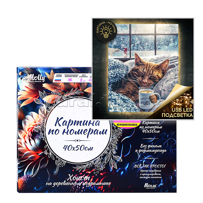 Картина по номерам 40х50