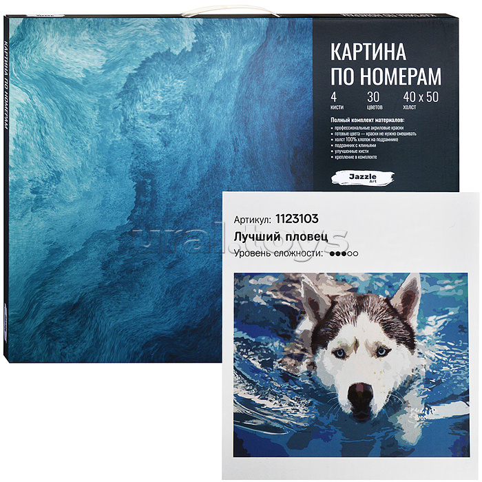 Картина по номерам. Холст на подрамнике