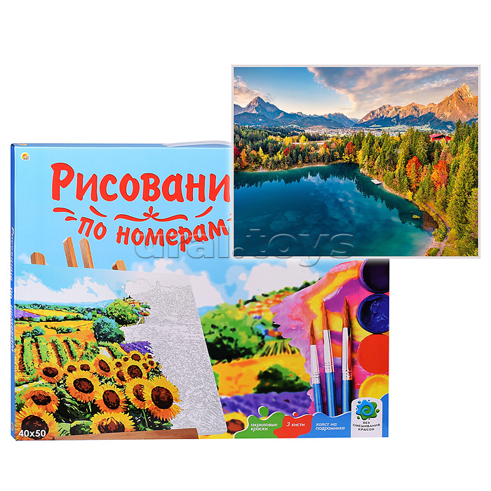 Холст с красками 40х50 по номерам