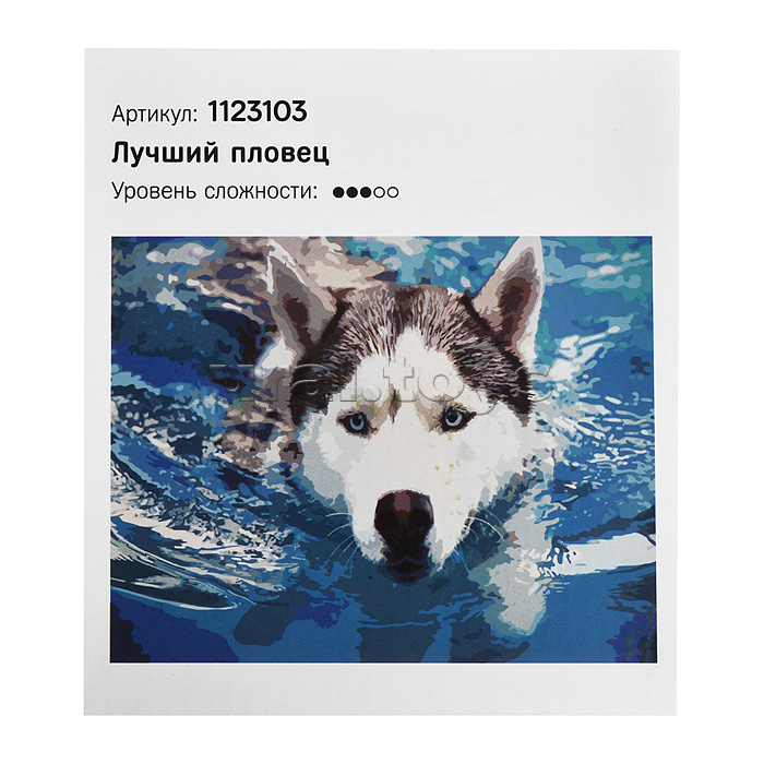Картина по номерам. Холст на подрамнике