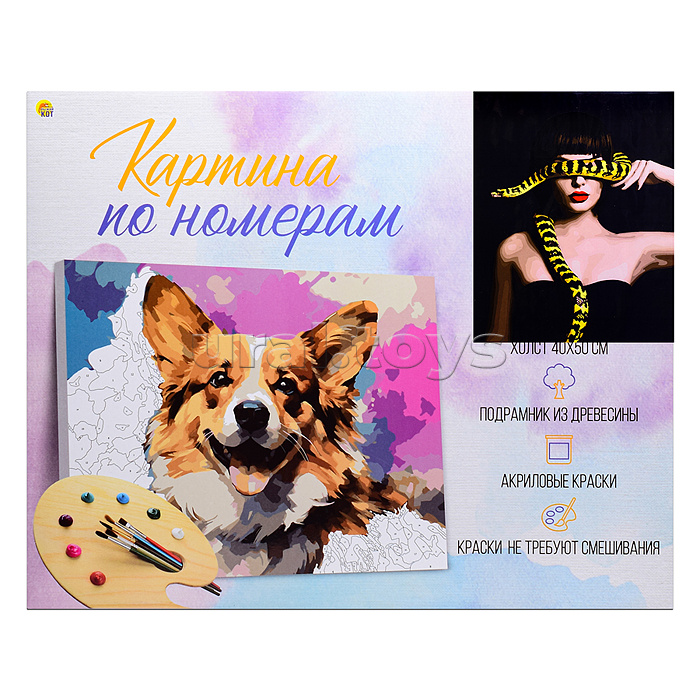 Холст с красками 40х50 по номерам