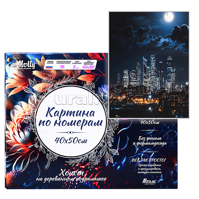 Картина по номерам 40х50