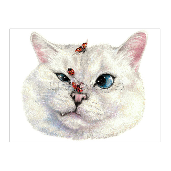 Холст с красками 17х22 по номерам