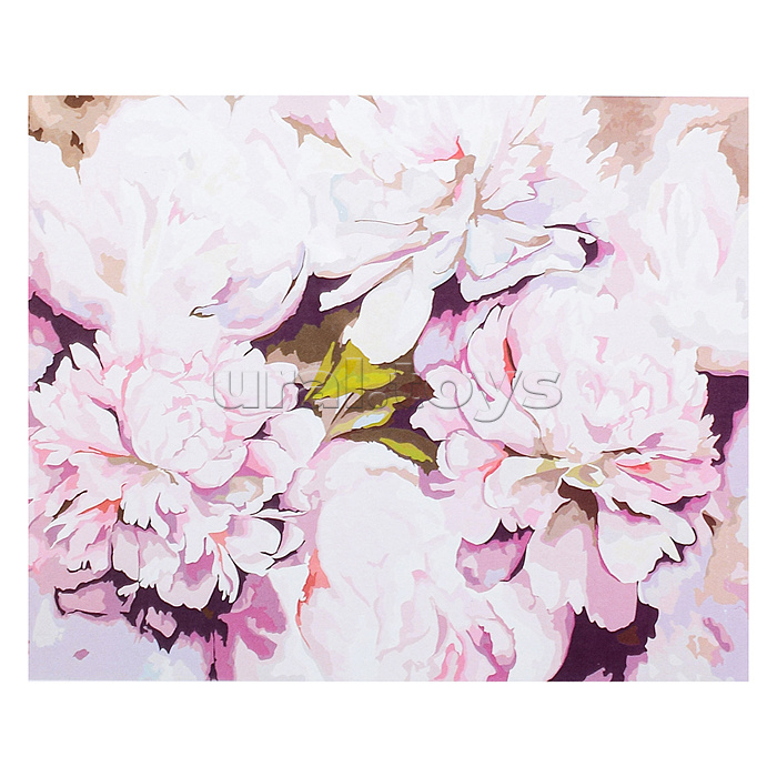 Холст с красками 40х50 по номерам