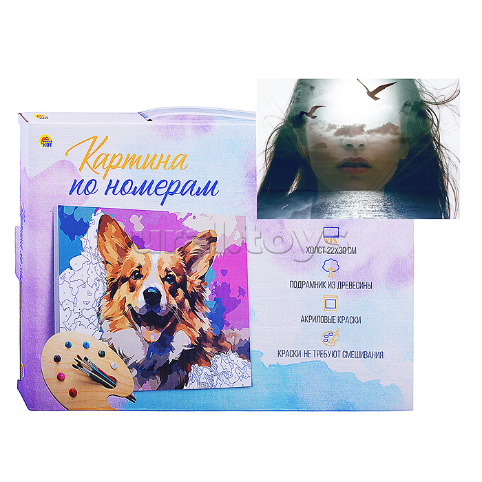 Холст с красками 22х30 по номерам