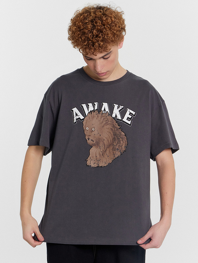 Футболка мужская коричневая с принтом