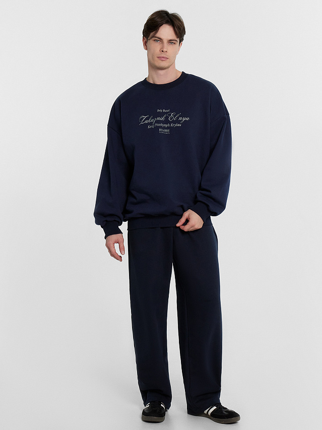 Брюки мужские синие из коллекции