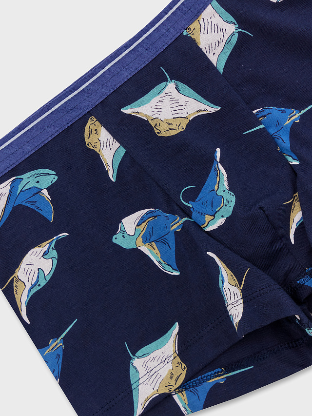 Трусы для мальчиков боксеры синие со скатами