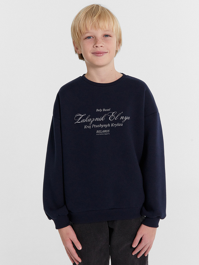 Свитшот для мальчиков синий из коллекции