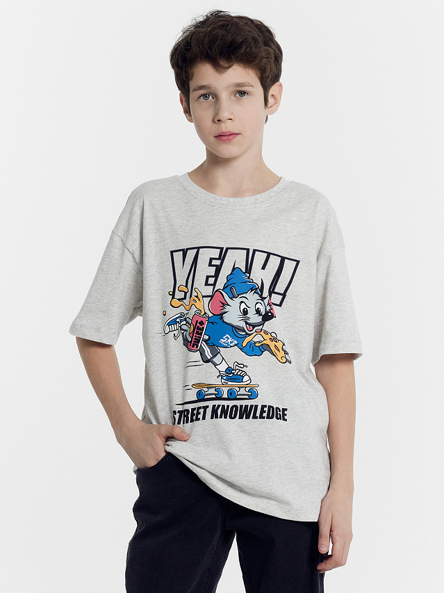 Футболка для мальчиков серая с печатью