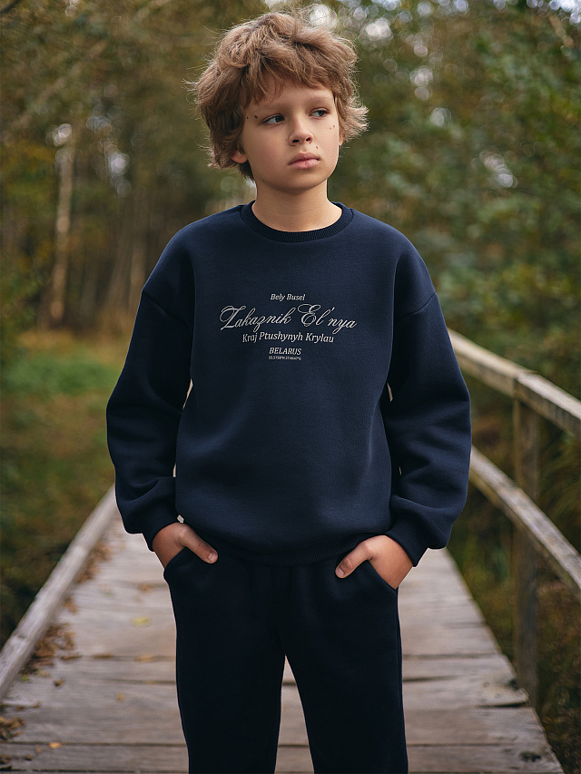 Свитшот для мальчиков синий из коллекции
