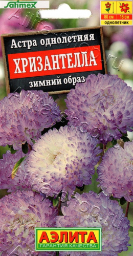 Астра Хризантелла зимний образ  15шт -  Одн. Satimex