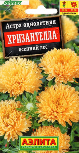 Астра Хризантелла Осенний лес  15шт -  Одн. Satimex