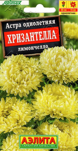 Астра Хризантелла Лимончелло  15шт -  Одн. Satimex