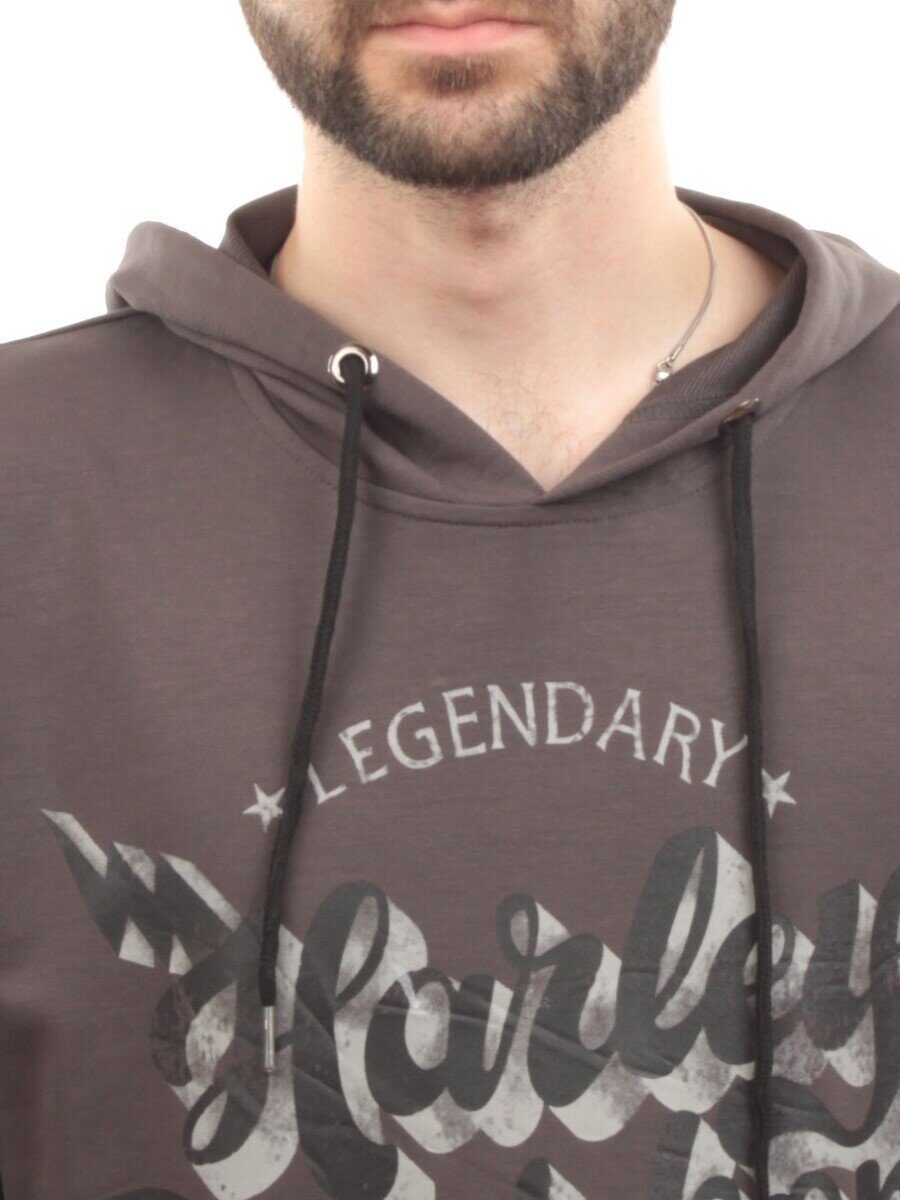 11031 GRAY Толстовка мужская (75% хлопок, 20% полиэстер, 5% спандекс)