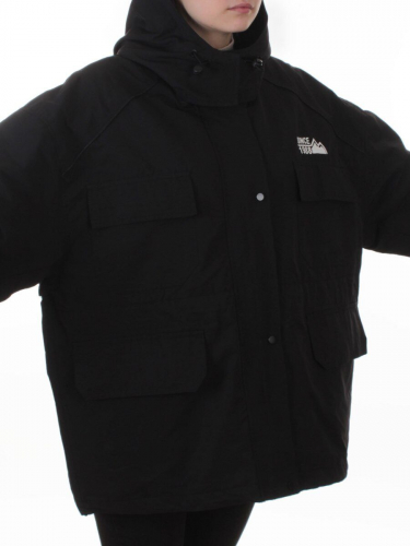 3092 BLACK Куртка демисезонная женская (100 гр. холлофайбер)
