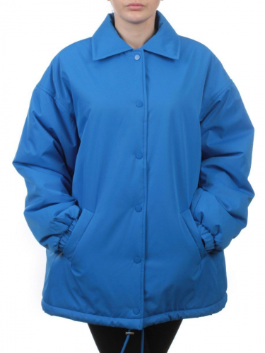 H24-216 BLUE Куртка демисезонная женская (100 гр. синтепон)