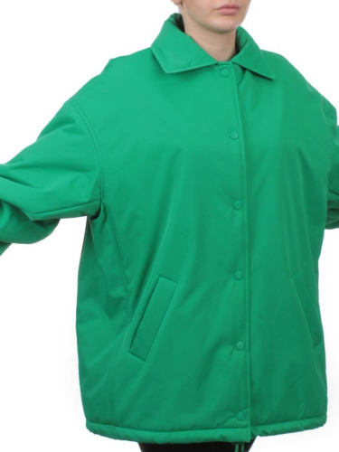 H24-216 GREEN Куртка демисезонная женская (100 гр. синтепон)