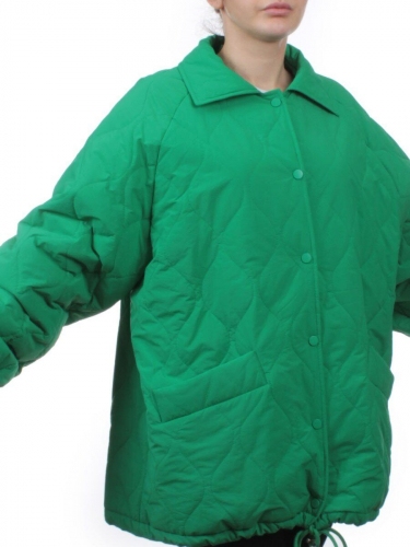H24-213 GREEN Куртка демисезонная женская (100 гр. синтепон)