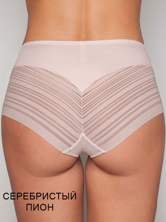 Трусы Siluet Albina_L ЧЗ слип Albina L 255сТмчз