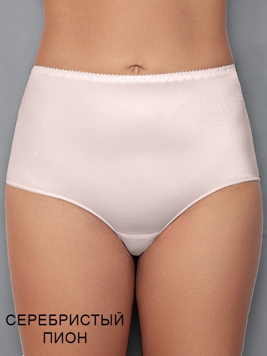 Трусы Siluet Albina_L ЧЗ слип Albina L 255сТмчз